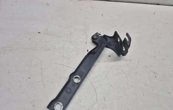 Volkswagen Tiguan Engine bonnet/hood hinges 5N0823302