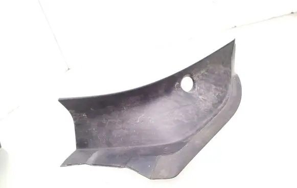 Rear/tail light trim molding