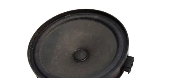 Mercedes-Benz B W246 W242 Rear door speaker A2469061300 970500101