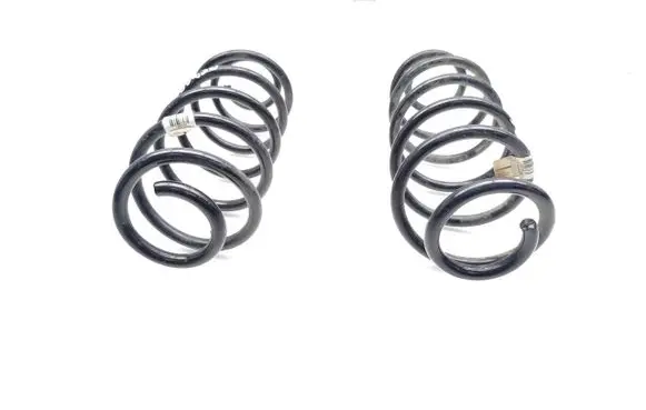 Ford Puma Rear coil spring L1TC5560BEA