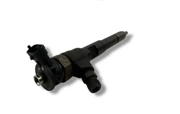 Renault Kangoo II Fuel injector 8201108033