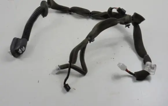 Front door wiring loom