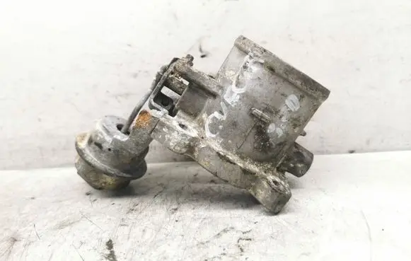 Throttle body valve