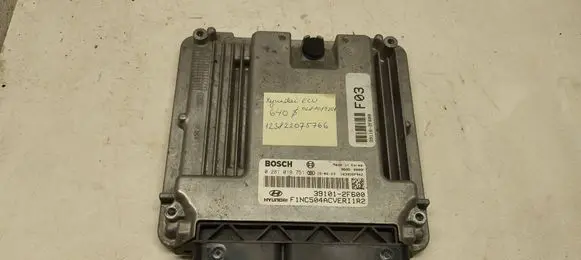 Hyundai Santa Fe Engine control unit/module 0281019751 391012F600 86050009