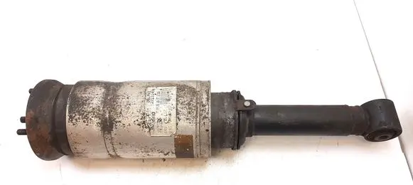 Land Rover Range Rover Sport L320 Air suspension front shock absorber 22231454