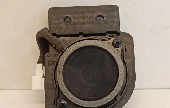 Panel speaker