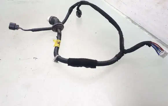 Hyundai Santa Fe Rear door wiring loom 05406029