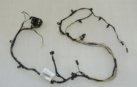 Chrysler Grand Voyager V Other wiring loom 68038758AA K04869777AC
