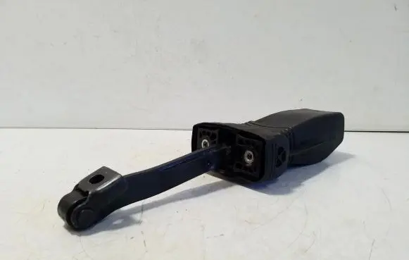 Audi e-tron Rear door check strap stopper 4KE839267