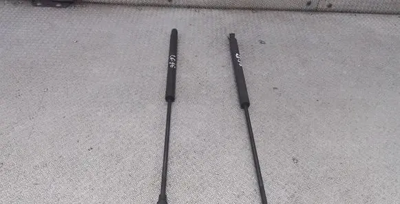 Peugeot 206 Tailgate/trunk strut/damper
