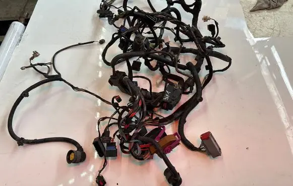 Fiat Ducato Other wiring loom 0281003171