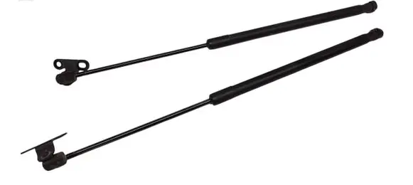 Tailgate/trunk strut/damper