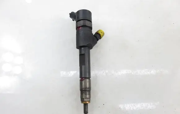 Renault Megane II Fuel injector H82606383 0445110280