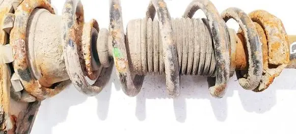 Rear coil spring