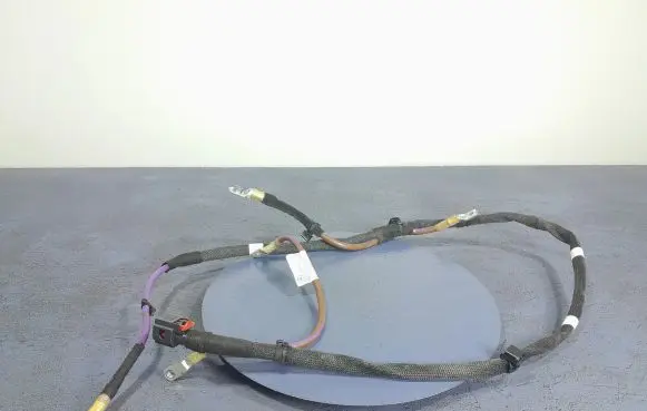 Audi A8 S8 D2 4D Other wiring loom 4N0971227AR