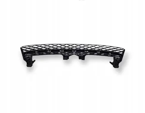 Volkswagen PASSAT B7 Front bumper lower grill 3AA805588B