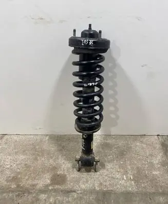 Ford F150 Front shock absorber/damper FL3418045