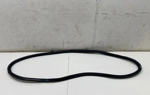 Mercedes-Benz EQE v295 Front door rubber seal A2956970100