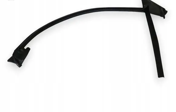 Audi RS5 Front door rubber seal 