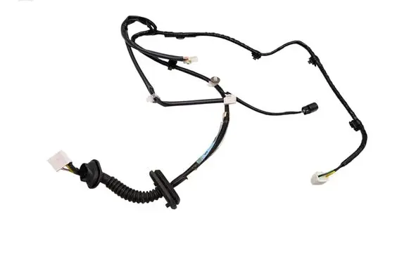 Rear door wiring loom