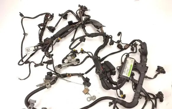 Engine installation wiring loom