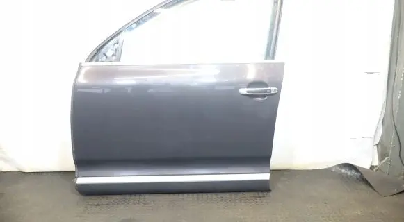Porsche Cayenne (9PA) Front door