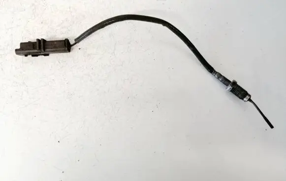 Exhaust gas temperature sensor