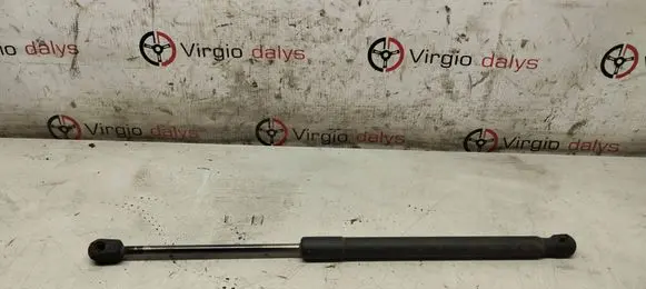 Skoda Roomster (5J) Tailgate/trunk strut/damper