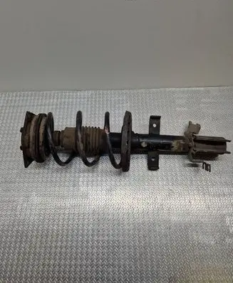 Renault Clio III Front shock absorber with coil spring