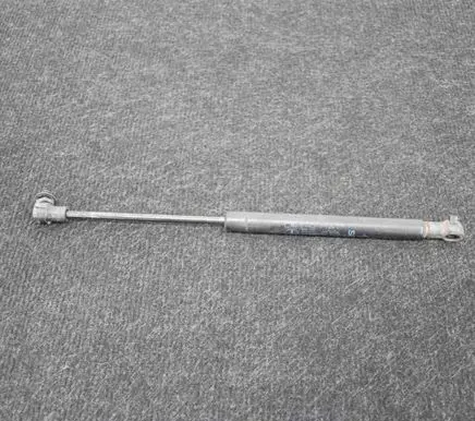 Tailgate/trunk strut/damper