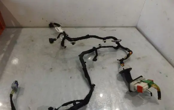 Citroen C3 Picasso Front door wiring loom 9673109980