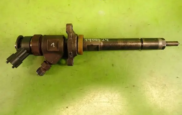 Peugeot Partner Fuel injector 0445110311
