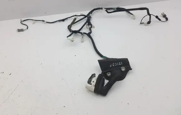 Front door wiring loom