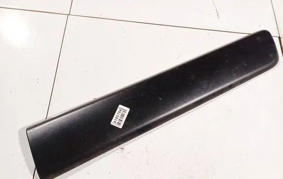 Front door trim (molding)