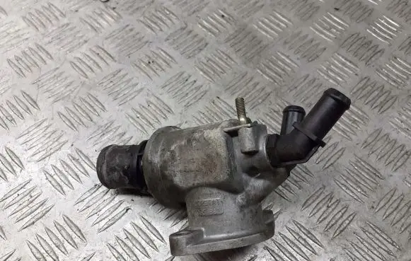 Thermostat/thermostat housing
