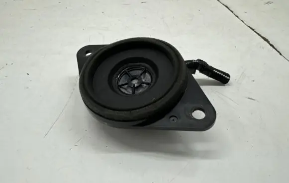 Toyota RAV 4 (XA50) Panel speaker 8616052340