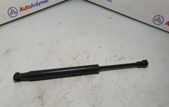 Tailgate strut