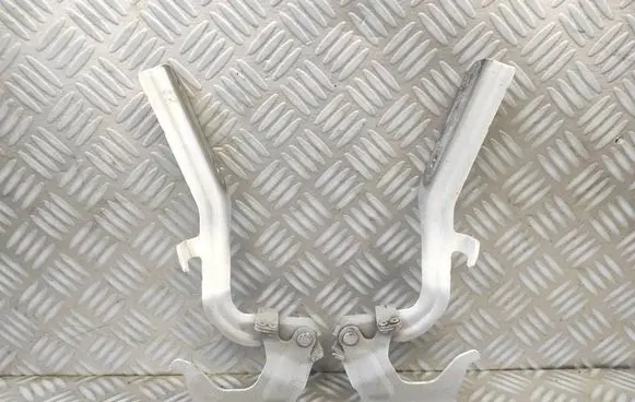 Nissan Juke I F15 Engine bonnet/hood hinges 