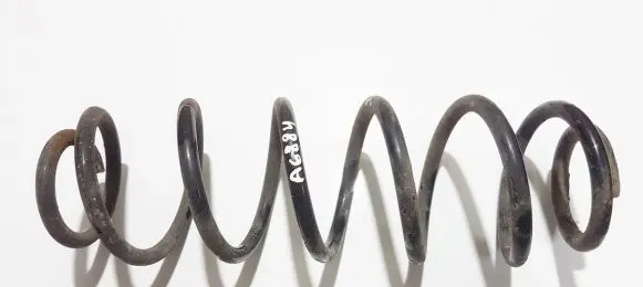 Seat Leon (1M) Rear coil spring