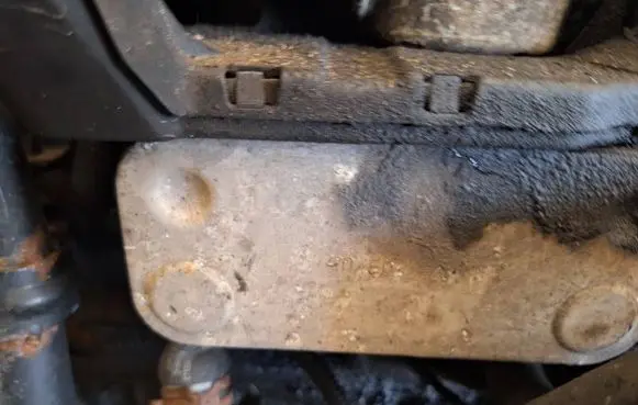 Opel Signum Engine oil radiator 