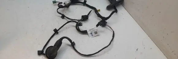 Rear door wiring loom