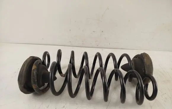 Rear coil spring