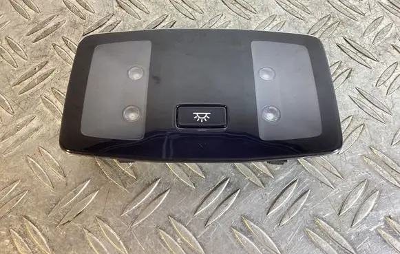 Rear seat light
