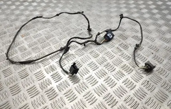 Other wiring loom