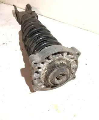 Volkswagen Touareg I Front shock absorber with coil spring 7L8412022AT