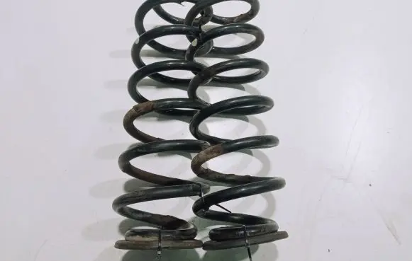 Volkswagen PASSAT B6 Rear coil spring