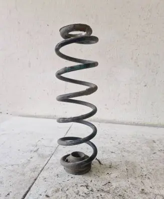 Rear coil spring