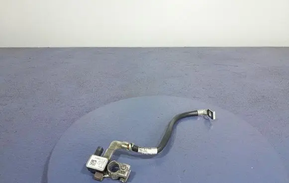 Other wiring loom