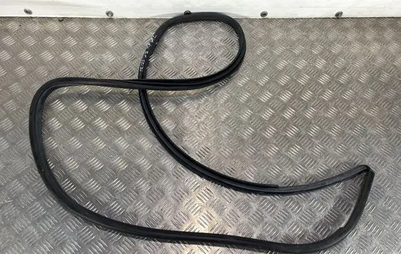 Toyota Prius (XW50) Rear door rubber seal (on body) 