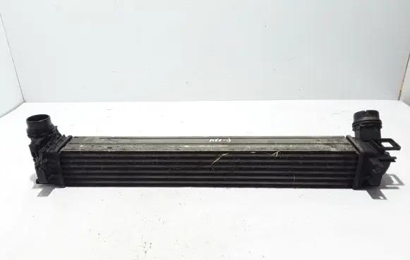 Renault Megane III Intercooler radiator 144961285R